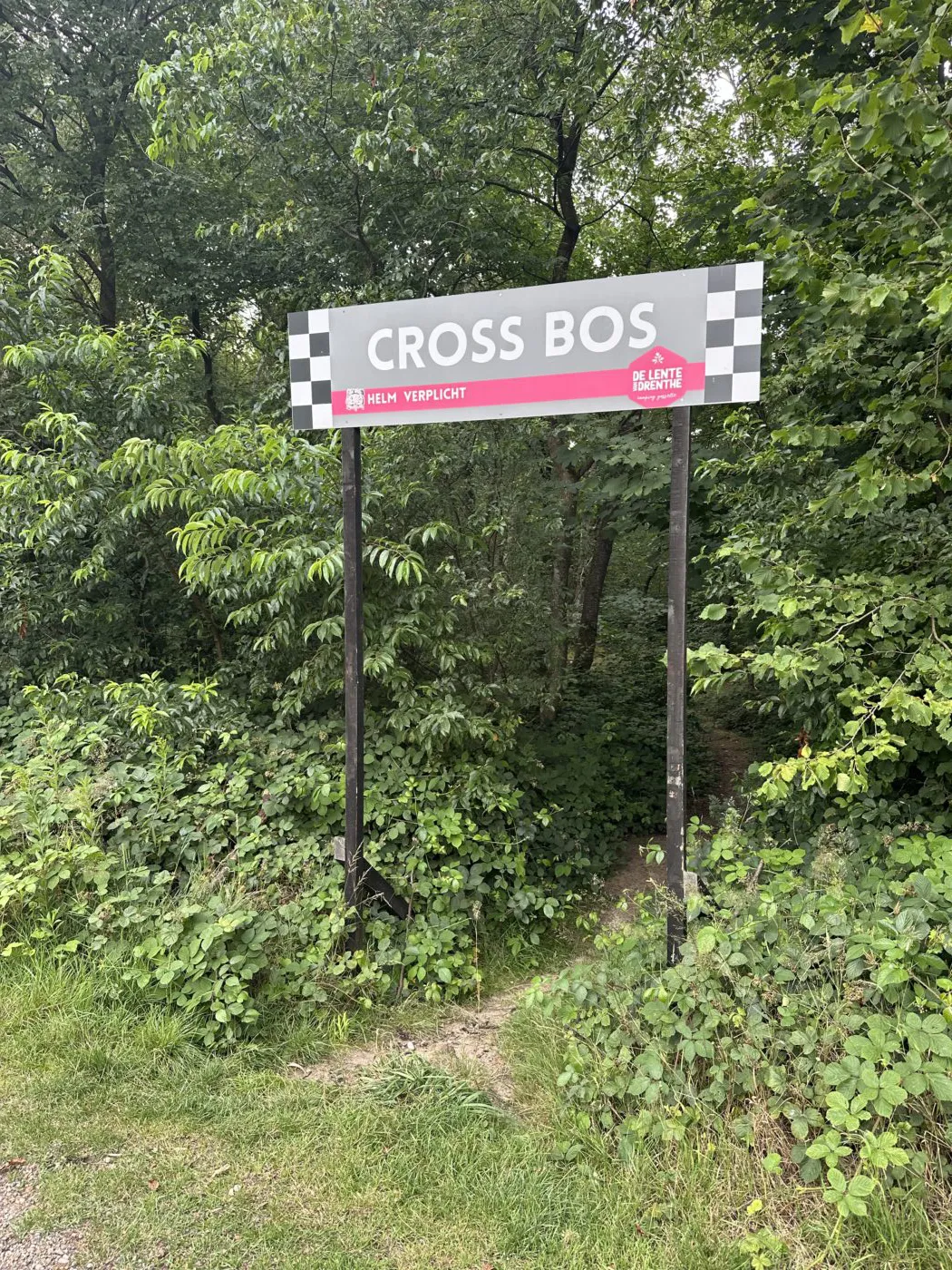 Cross Bos in Gasselte bij Lente van Drenthe