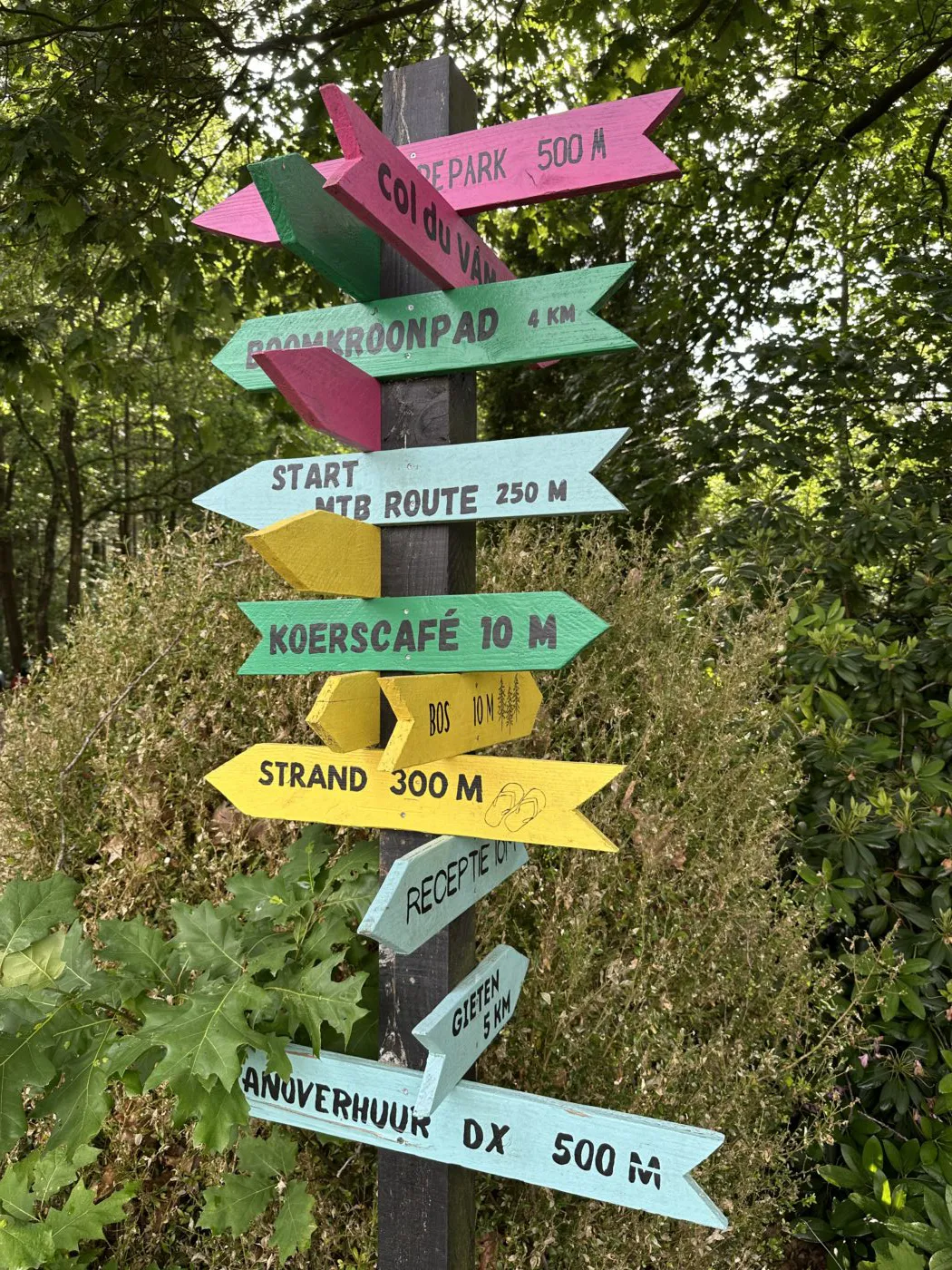 Wegwijzers op Lente van Drenthe