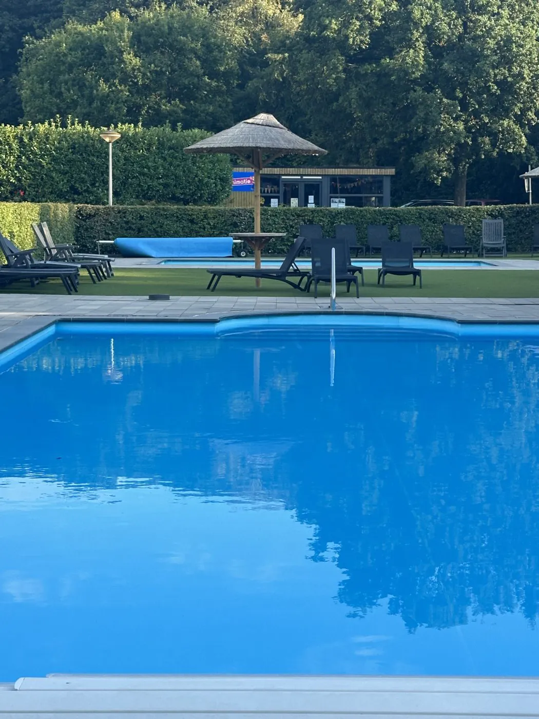 Zwembad met terras Lente van Drenthe